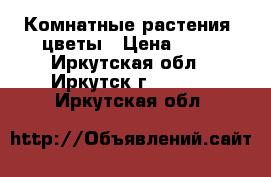 Комнатные растения, цветы › Цена ­ 50 - Иркутская обл., Иркутск г.  »    . Иркутская обл.